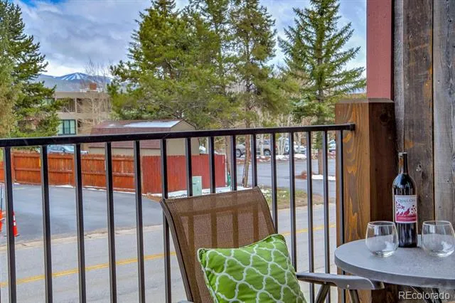 235 E La Bonte Street #108 Dillon, CO 80435