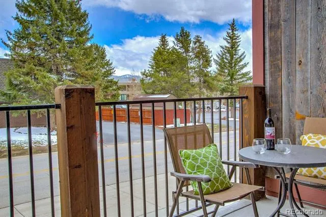 235 E La Bonte Street #108 Dillon, CO 80435