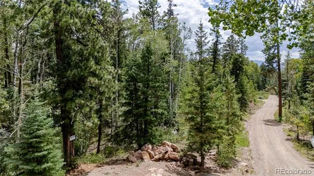 166 Ponderosa Way Durango, CO 81301