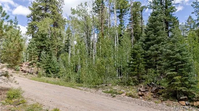 166 Ponderosa Way Durango, CO 81301