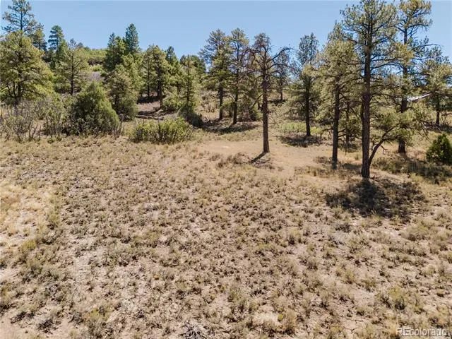 295 Sage Circle Pagosa Springs, CO 81147