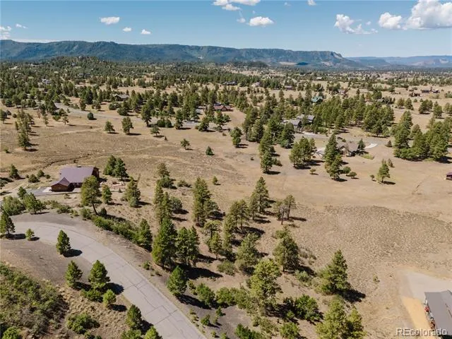 295 Sage Circle Pagosa Springs, CO 81147