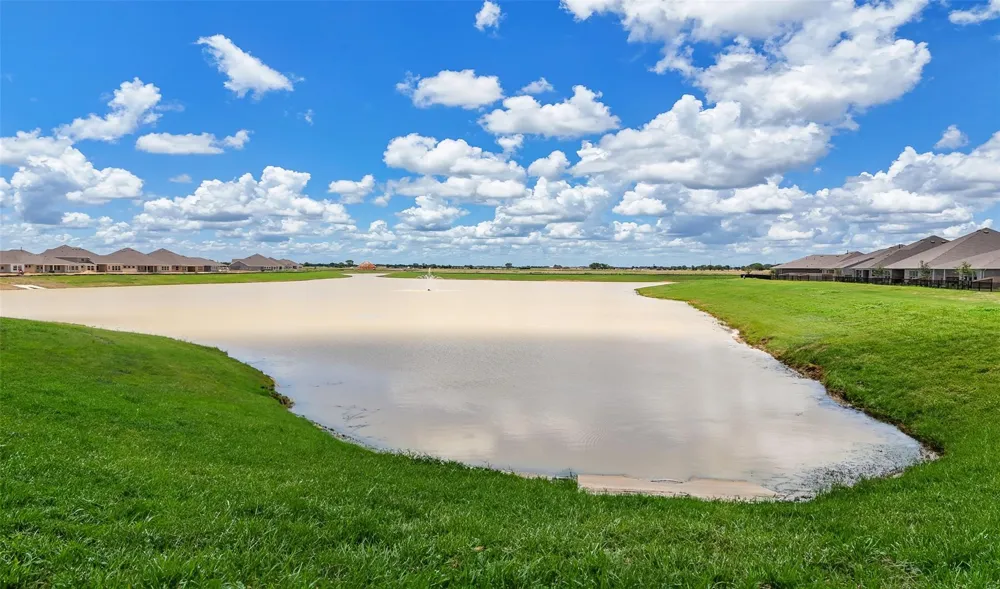 21903 Iris Colony Drive Waller, TX 77484