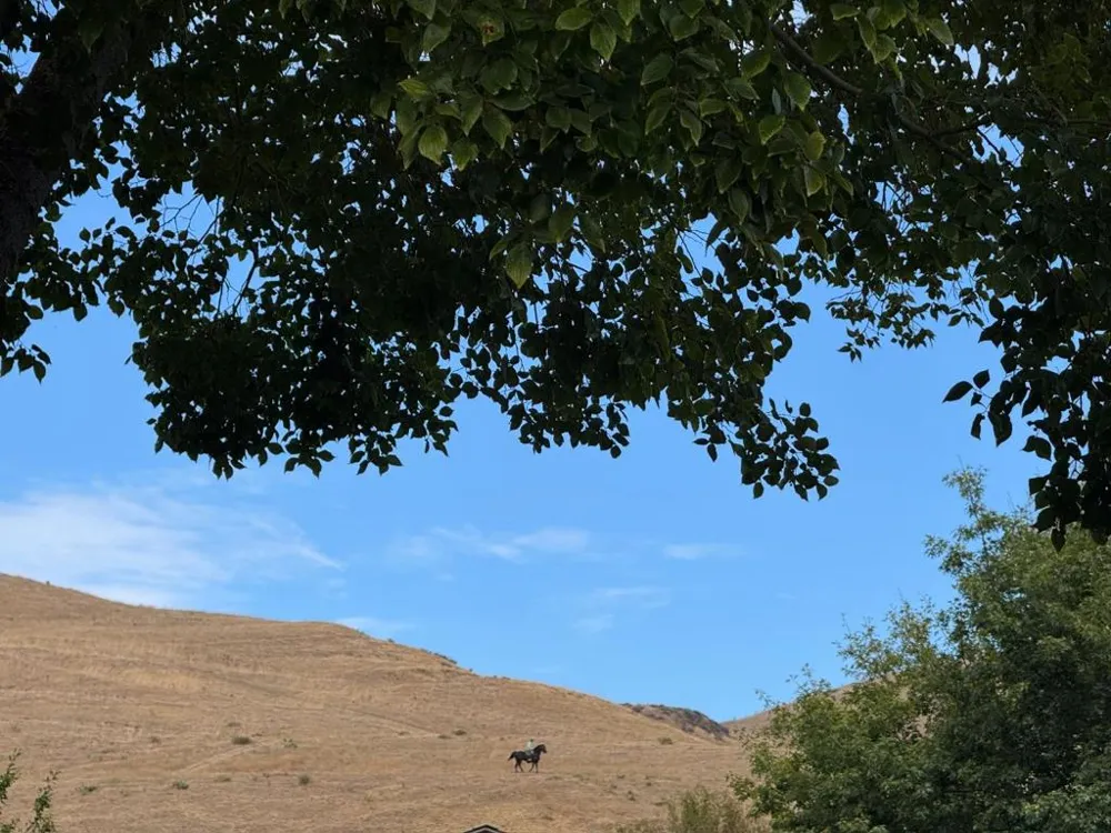 229 Spring Valley Lane Milpitas, CA 95035