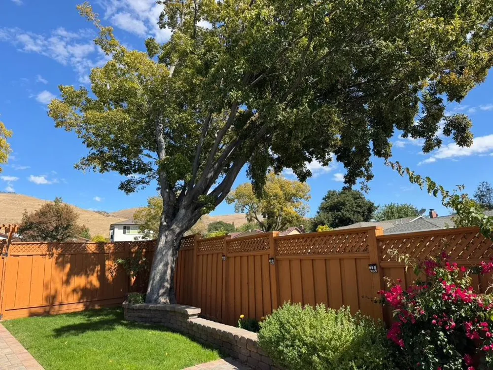 229 Spring Valley Lane Milpitas, CA 95035