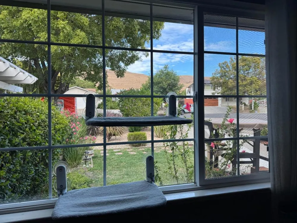 229 Spring Valley Lane Milpitas, CA 95035