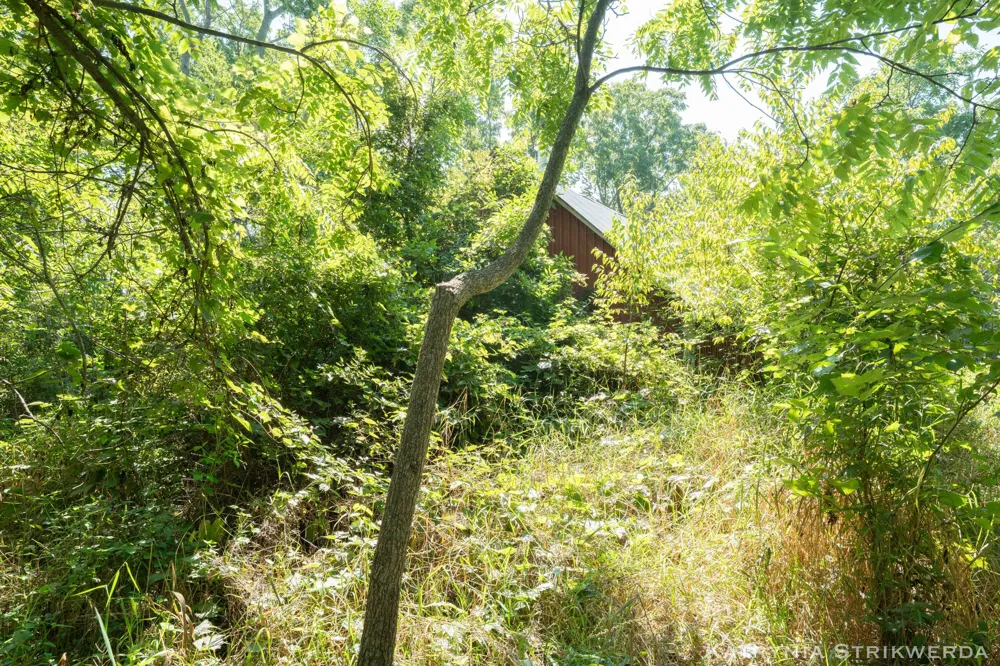 13433 Bingham Street Holland, MI 49424