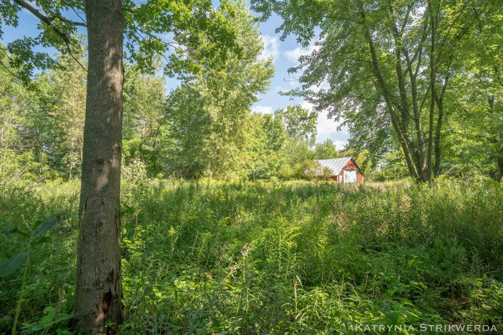 13433 Bingham Street Holland, MI 49424