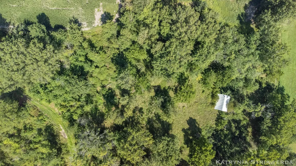 13433 Bingham Street Holland, MI 49424