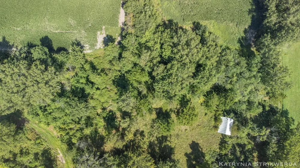 13433 Bingham Street Holland, MI 49424