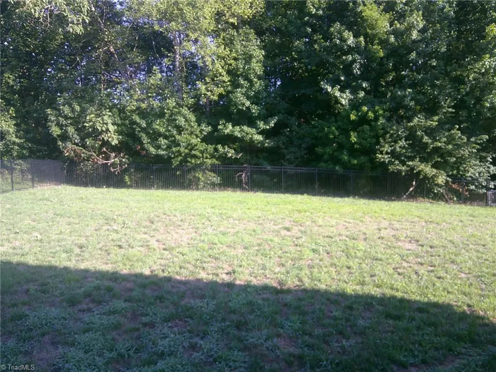 8174 Sanfords Creek Drive Colfax, NC 27235