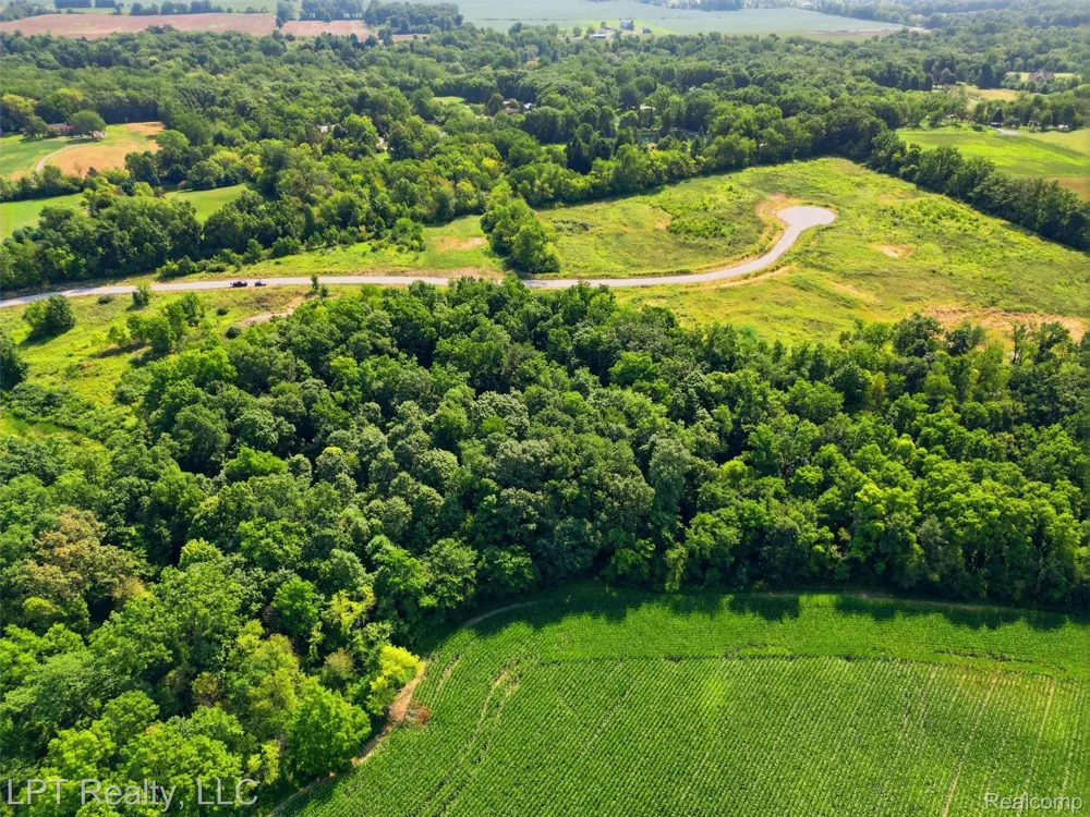 9551 Creekside Drive Saline Township, MI 48176