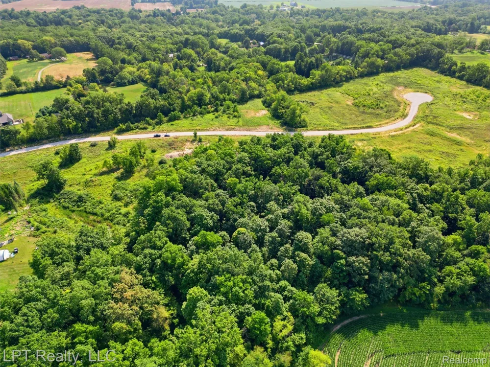 9551 Creekside Drive Saline Township, MI 48176