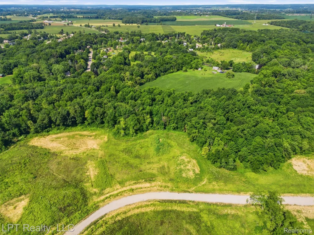 9557 CREEKSIDE DRIVE Saline Township, MI 48176