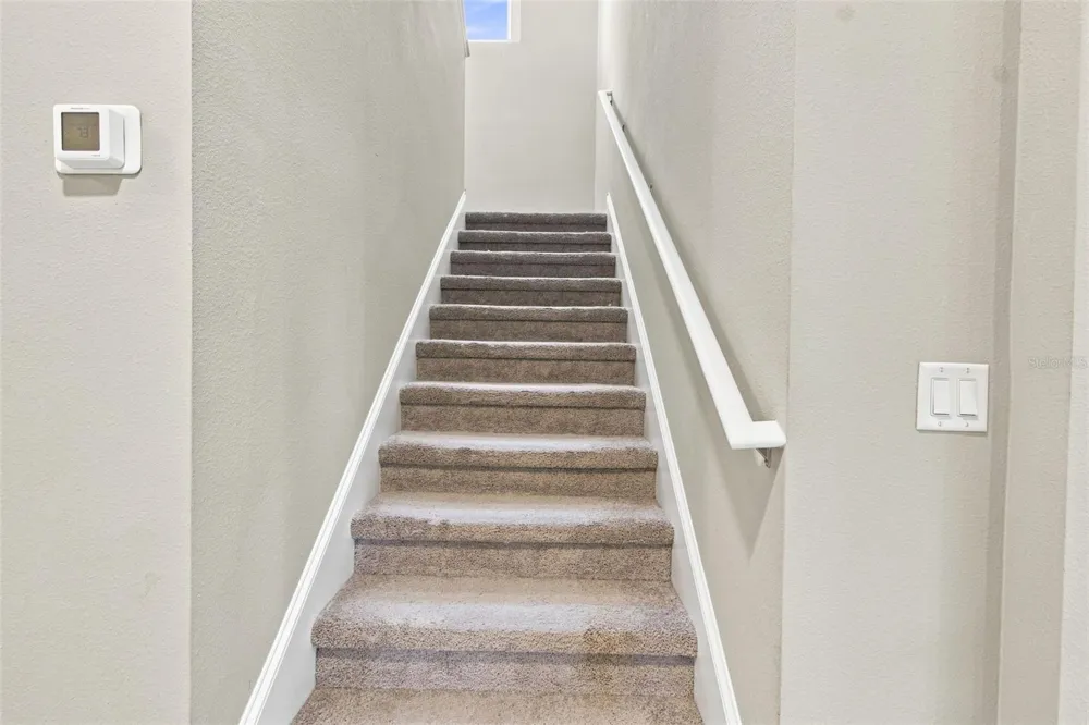 31840 SAPNA CHIME DRIVE Wesley Chapel, FL 33545