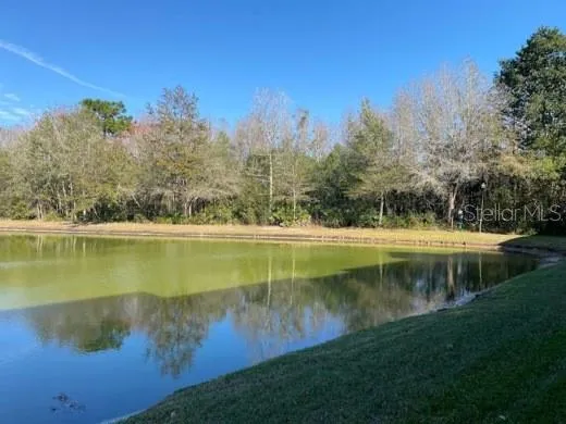 4201 WOODSTORKS WALK WAY #3111 Lutz, FL 33558
