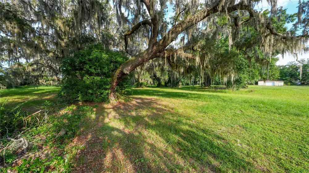 1925 COUNTY ROAD 19A Eustis, FL 32726