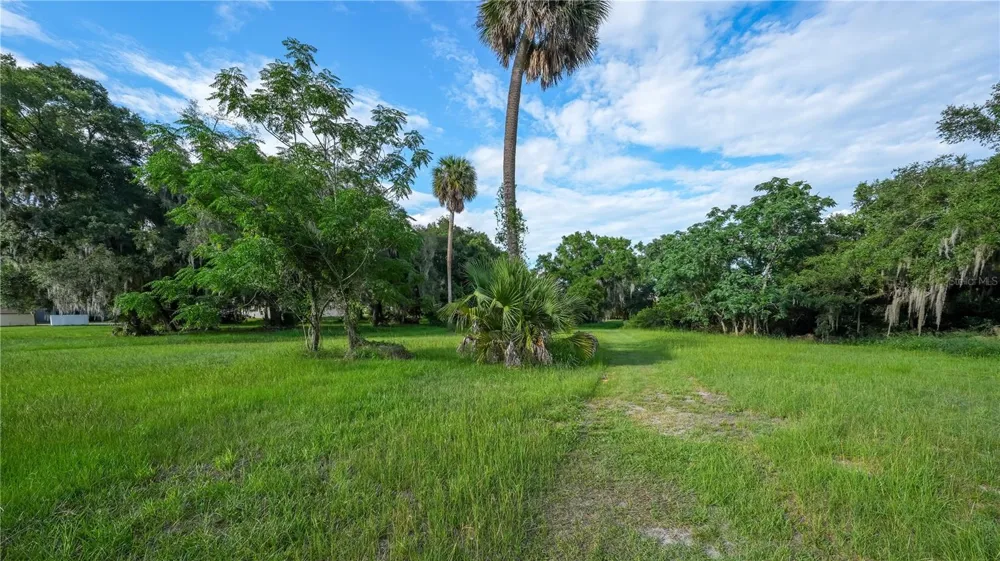 1925 COUNTY ROAD 19A Eustis, FL 32726