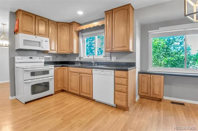 3205 W 11th Avenue Court Broomfield, CO 80020