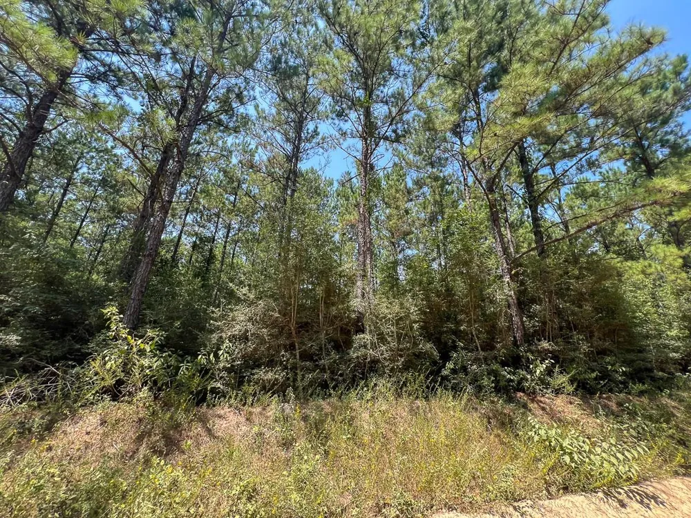 2 County Road 3230 Colmesneil, TX 75938