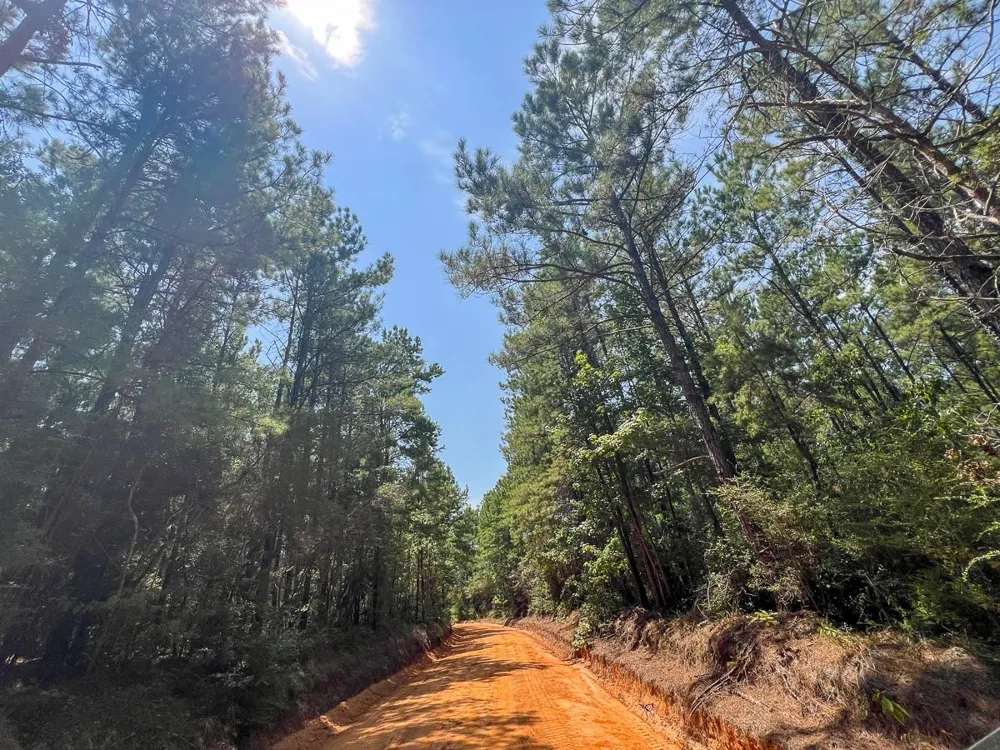 2 County Road 3230 Colmesneil, TX 75938