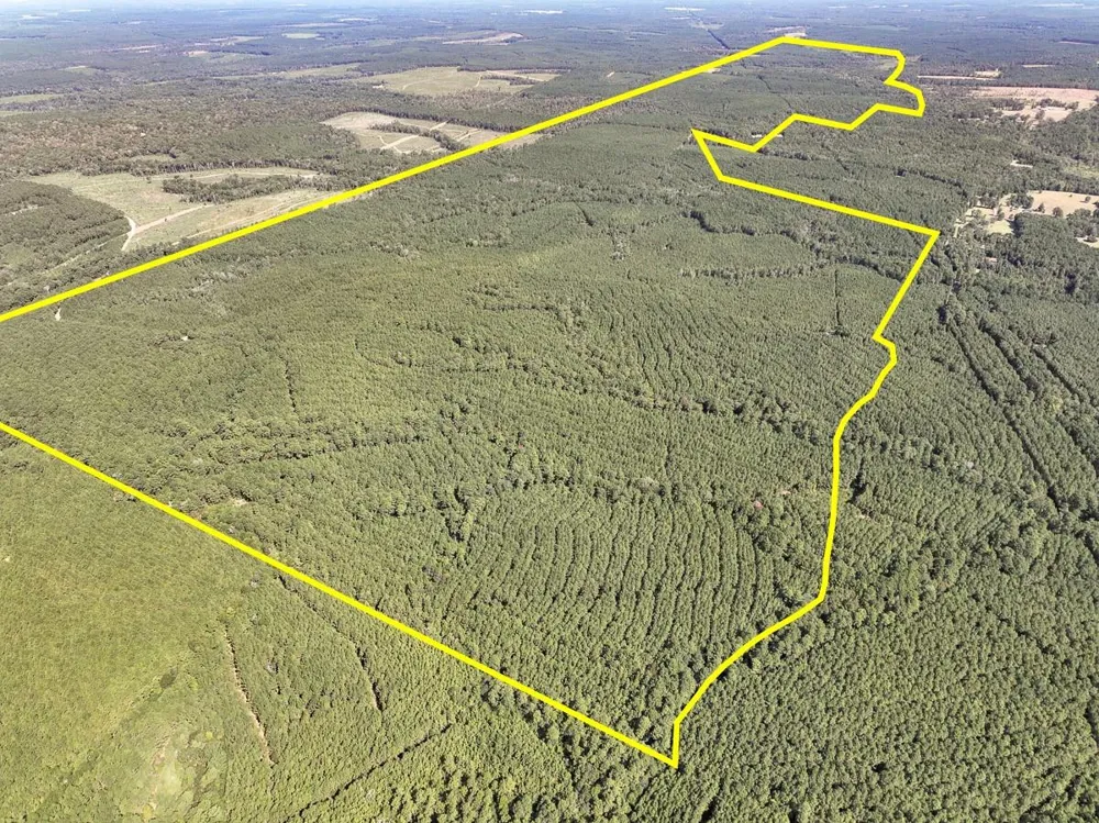 2 Cr 2150 Woodville, TX 75979