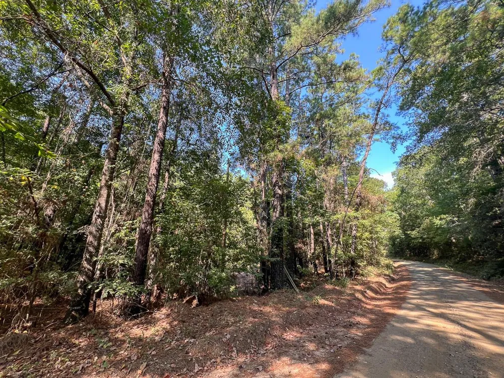 2 Cr 2150 Woodville, TX 75979