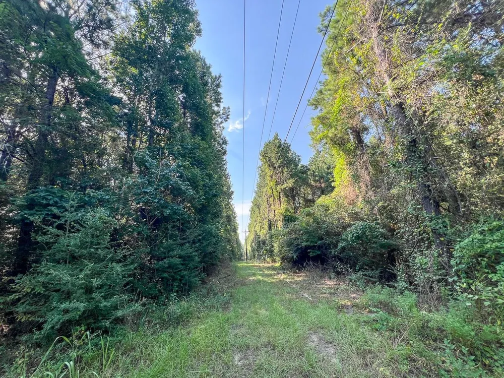 2 Cr 2150 Woodville, TX 75979