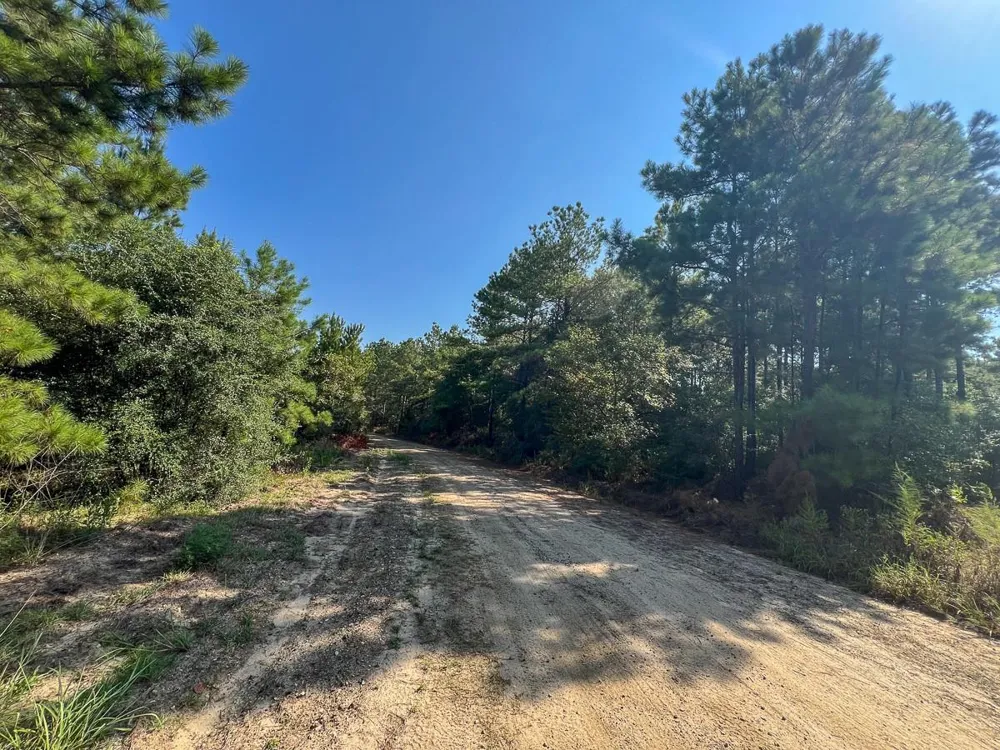 2 Cr 2150 Woodville, TX 75979