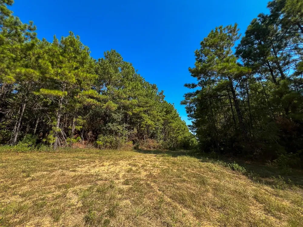 2 Cr 2150 Woodville, TX 75979