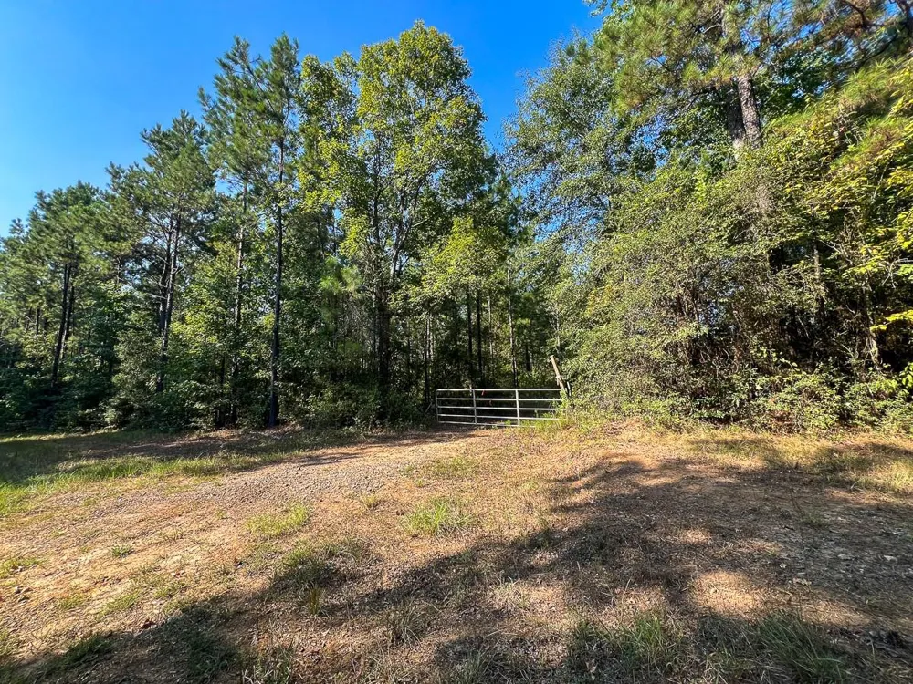 2 Cr 2150 Woodville, TX 75979