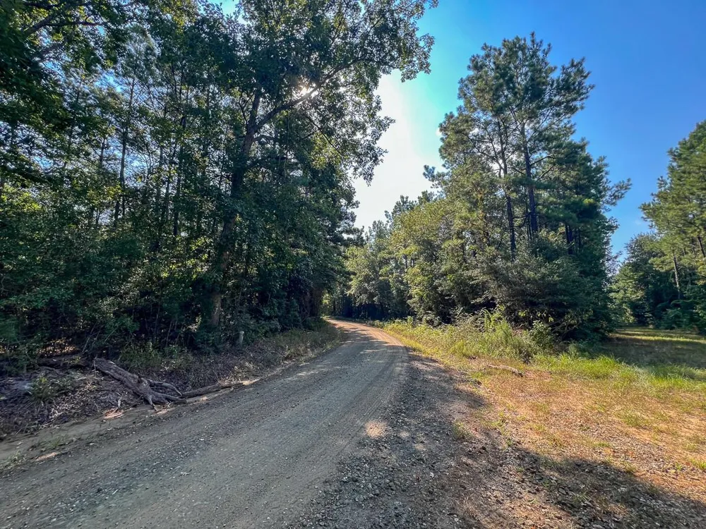 2 Cr 2150 Woodville, TX 75979