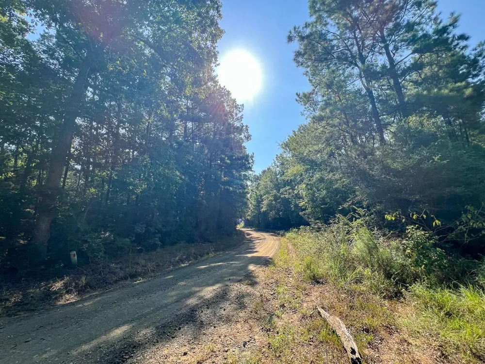 2 Cr 2150 Woodville, TX 75979