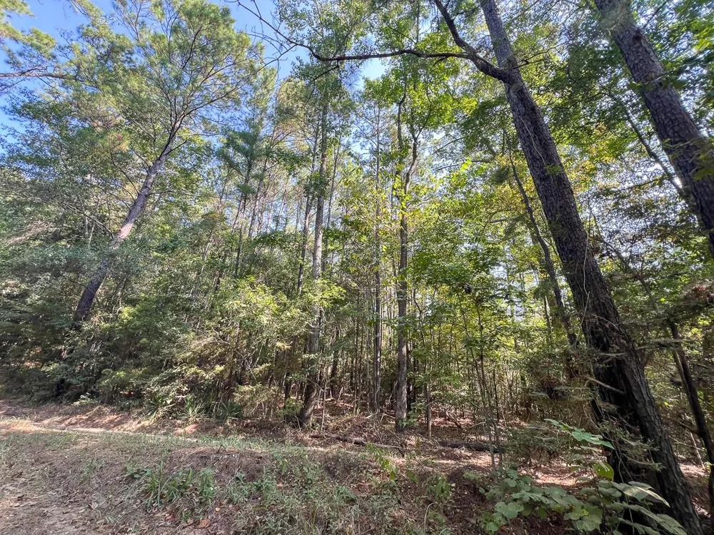 2 Cr 2150 Woodville, TX 75979