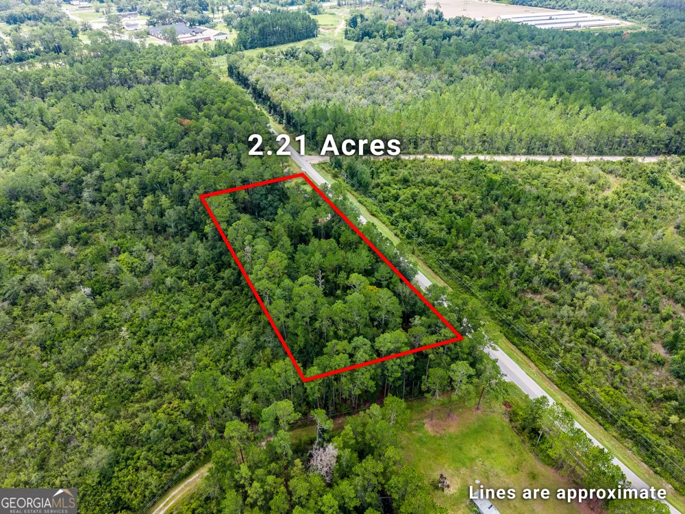 4531 S Manor Millwood Rd. Manor, GA 31550