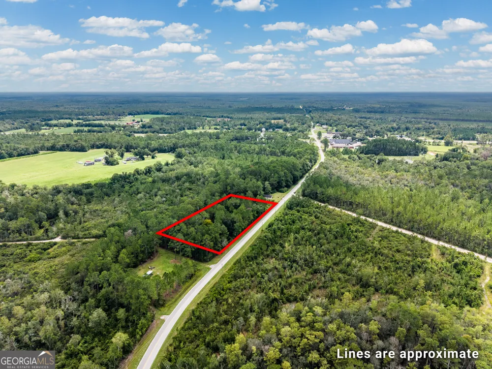 4531 S Manor Millwood Rd. Manor, GA 31550