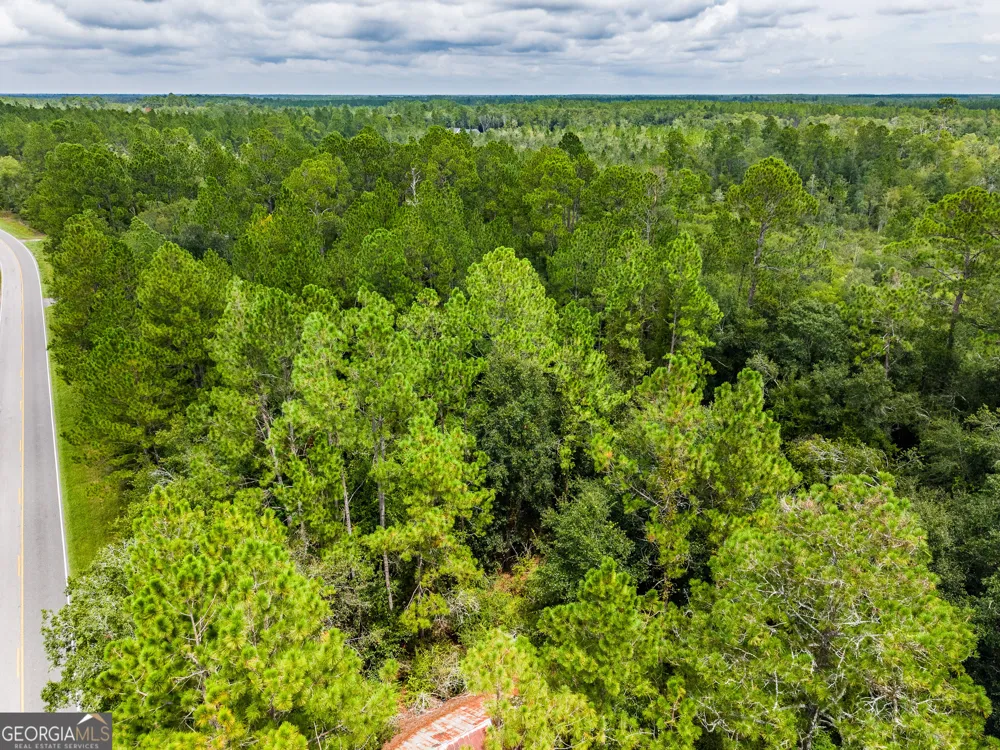 4531 S Manor Millwood Rd. Manor, GA 31550
