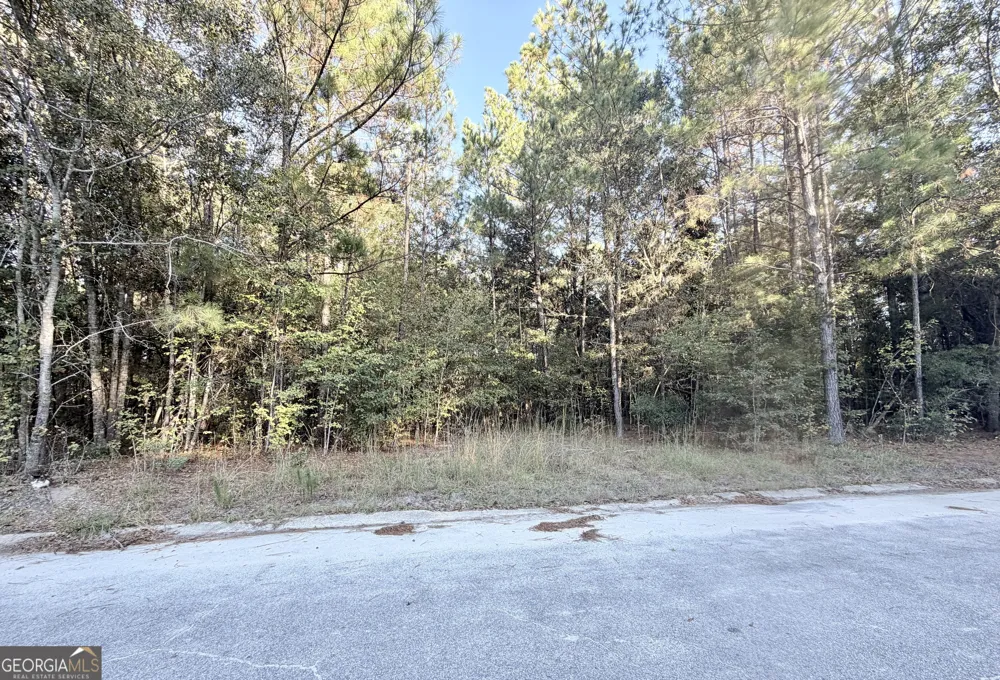 291 Sawdust TRL Waycross, GA 31503
