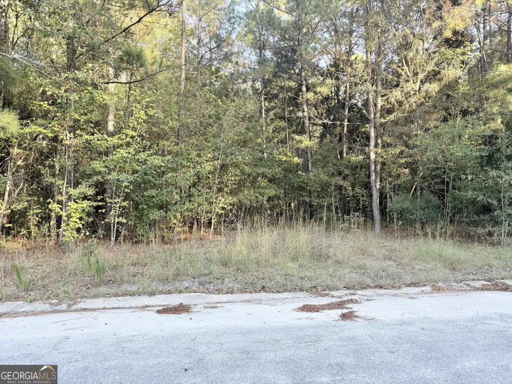 291 Sawdust TRL Waycross, GA 31503
