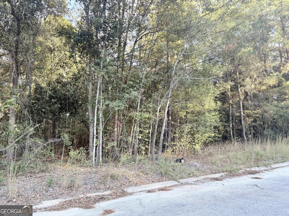 291 Sawdust TRL Waycross, GA 31503