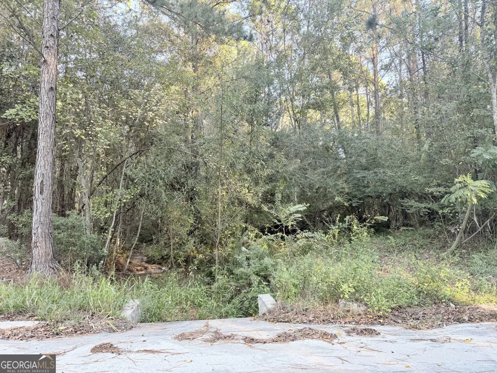 291 Sawdust TRL Waycross, GA 31503
