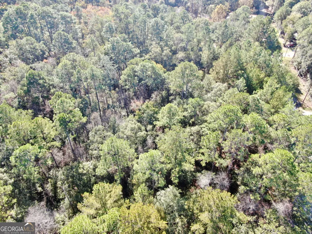 291 Sawdust TRL Waycross, GA 31503