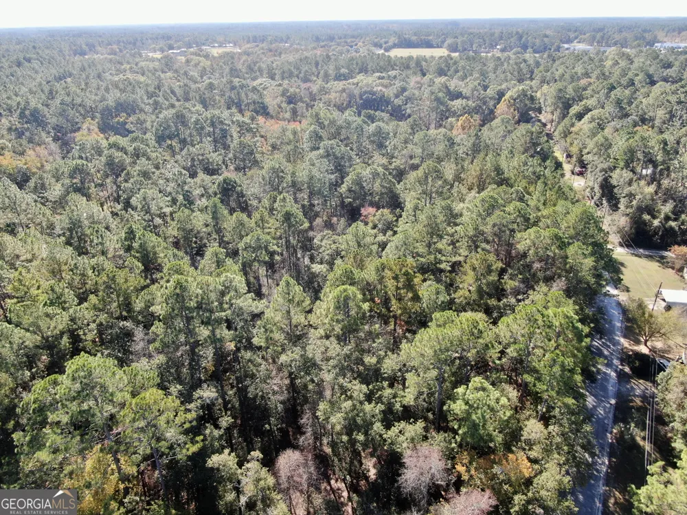 291 Sawdust TRL Waycross, GA 31503