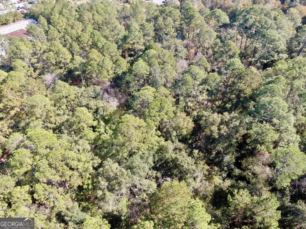 291 Sawdust TRL Waycross, GA 31503