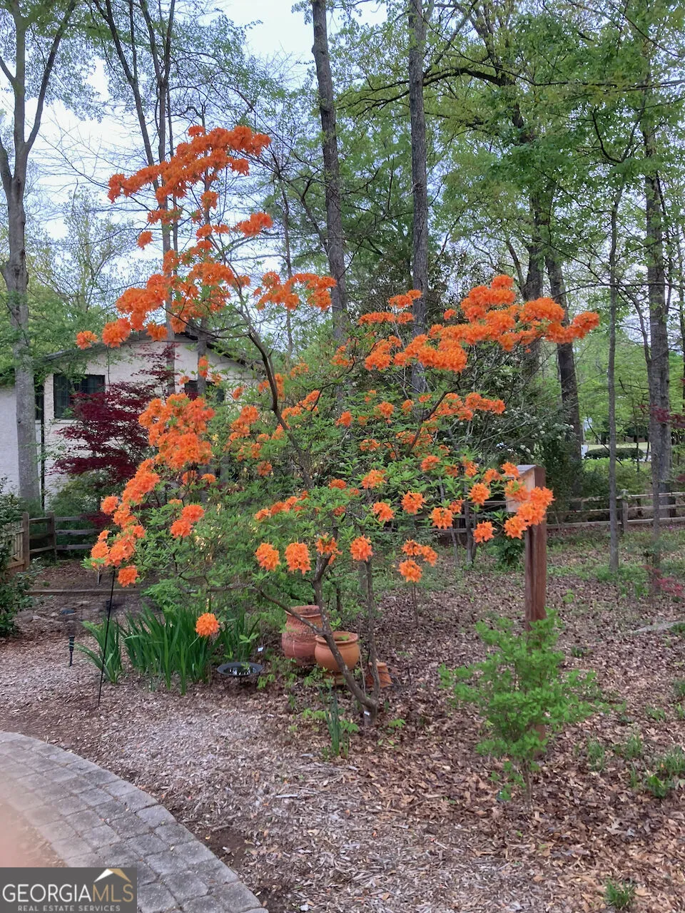 203 Aberdeen DR Peachtree City, GA 30269