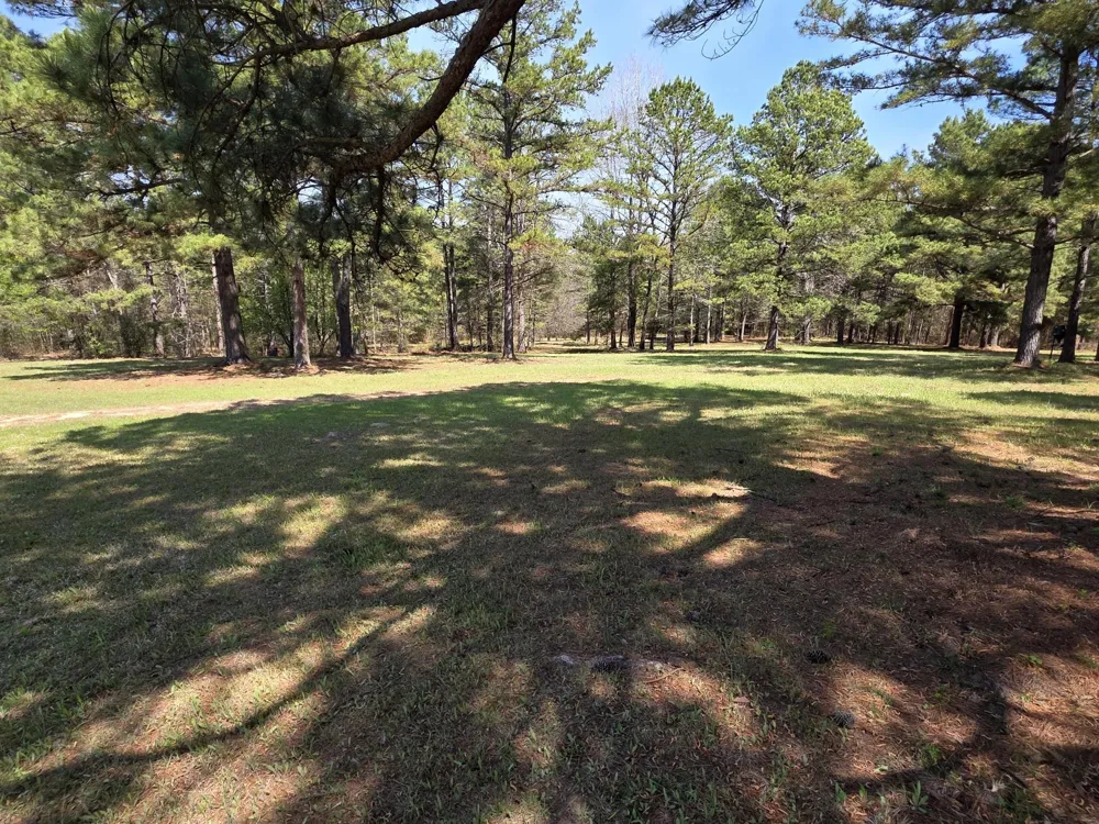 448 County Road 3955 Mineola, TX 75773