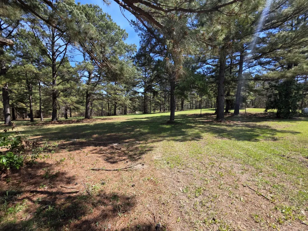 448 County Road 3955 Mineola, TX 75773