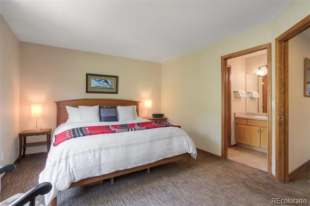 285 Kestrel Lane Silverthorne, CO 80498