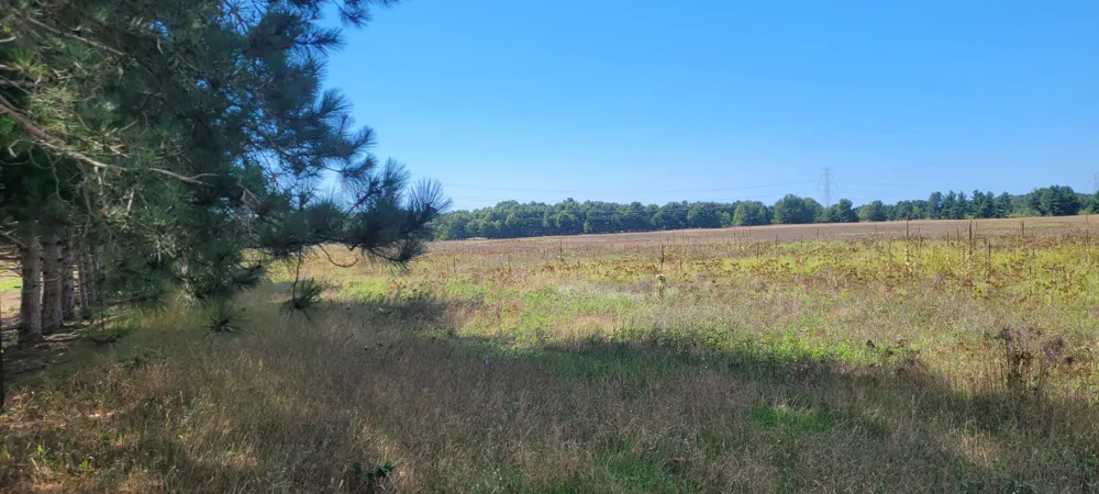 88th Avenue Pentwater, MI 49449