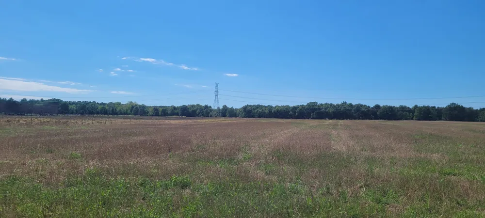 88th Avenue Pentwater, MI 49449